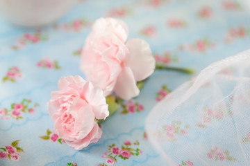 Two pink cloves close-up on floral fabric