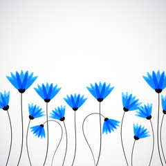 Abstract nature background. Blue cornflowers.