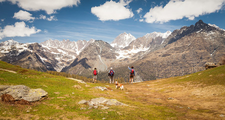 Fototapeta na wymiar Valmalenco (IT) - Vista della catena del Bernina