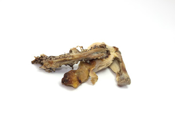 scarto ossa di pollo