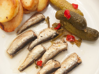 sprats