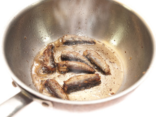 sprats