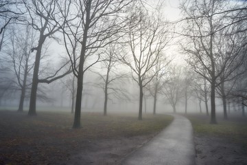 Obraz premium early misty morning