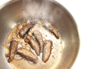 sprats
