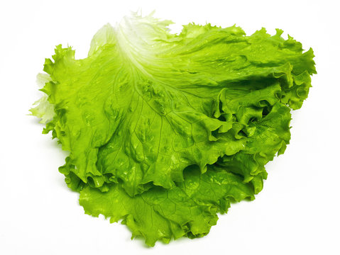 Salatbl&auml;tter