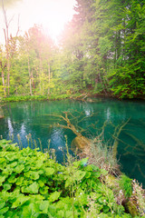 Plitvice lakes of Croatia