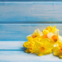 Background with fresh narcissus