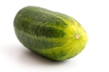 Einlegegurke