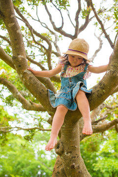 木登りをする女の子