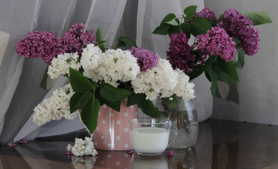 Lilac bouquet in a transparent jug and a cup with milk
