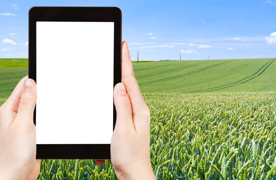 photo of green wheat field under blue sky, France