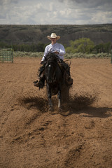 cowboy running toward on a black horse