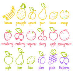 flat icons of a fruits