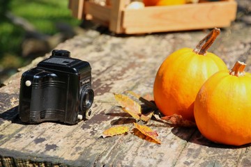 herbst motiv und alte kamera