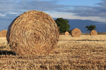 Paesaggio con rotoballe di fieno
