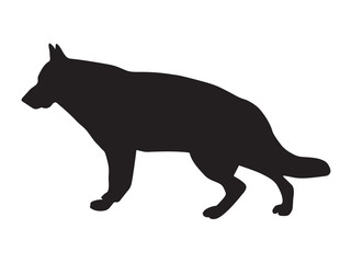 black sillhouete of German Shepherd dog