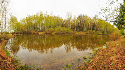 Panorama overlooking forest and lake