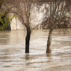 Isola Tiberina Flooded in Rome, Italy