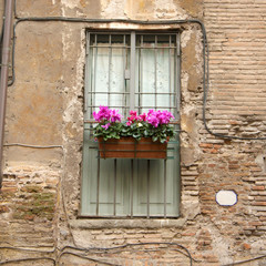 Fototapeta na wymiar Flowered Old Window
