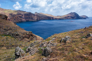 Fototapeta premium Madeira