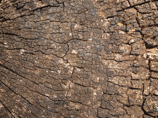Background wood