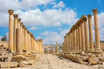 Foto op Plexiglas Rudnes The Cardo Maximus street in Jerash ruins Jordan