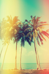Obraz na płótnie Canvas Palm trees on the beach with old film light leaks, vintage color stylized
