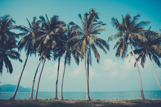 Retro stylized palm trees on summer tropical shore