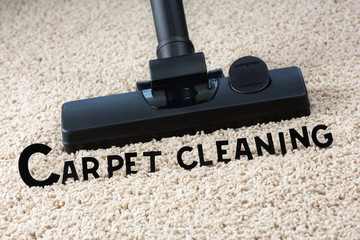 Image of carpet and brush with title