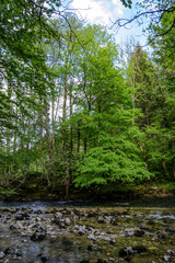 gorge de l'areuse 63