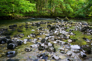 gorge de l'areuse 61