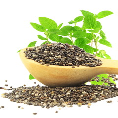 chia seed in wooden spoon with chia plant in  white background