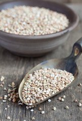 Dry green buckwheat in a clay bowl and in a scoop 