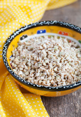 Green buckwheat sprouts in a bowl, close up, selective focus