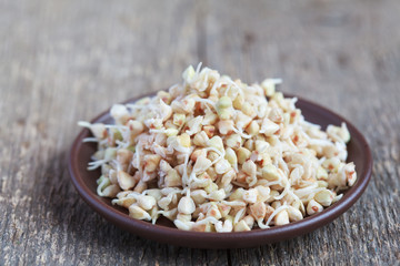 Green buckwheat sprouts in a bowl, close up, selective focus