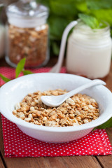 Breakfast: homemade granola in a white plate, yogurt with jam 