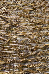 Botte de paille (détail)