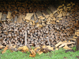 firewood
