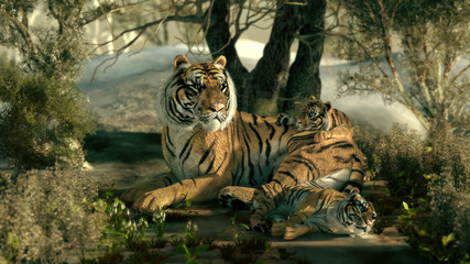 Panele Szklane  Rodzina tygrysów syberyjskich, 3d CG
