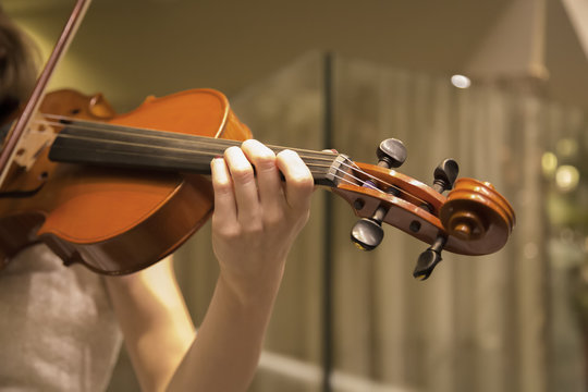 Violinist