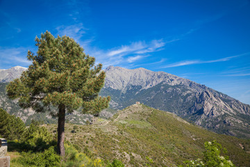 Landschaften auf Korsika