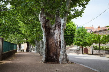 Landschaften auf Korsika