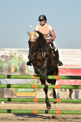 equitation