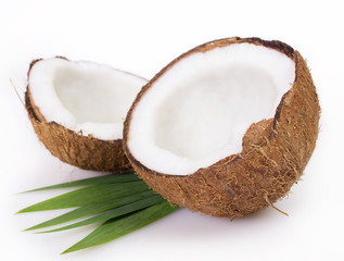 Coconut