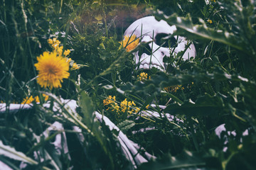Skeleton in the Grass 5