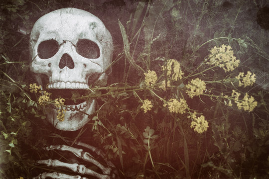 Skeleton in the Grass 7
