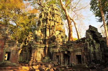 Ta Prohm Temple of Cambodia