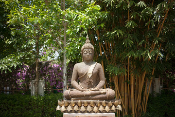 Buddha statue in the nature garden at Thailand Temple