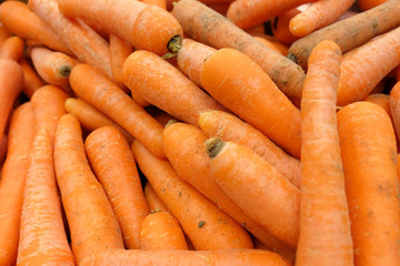 fresh carrot for sell in the market