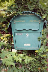 Mailbox and green leaves with nature